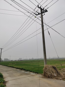 失踪人员：马驷龙