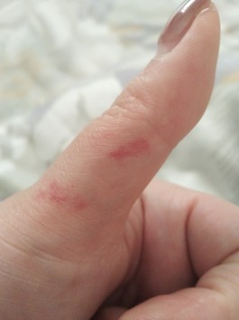 失踪人员：叶小梦