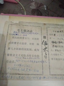 失踪人员：林小妹