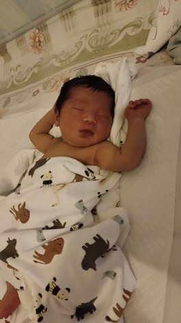 寻亲：米辰泽